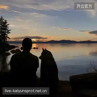 孟梅俭